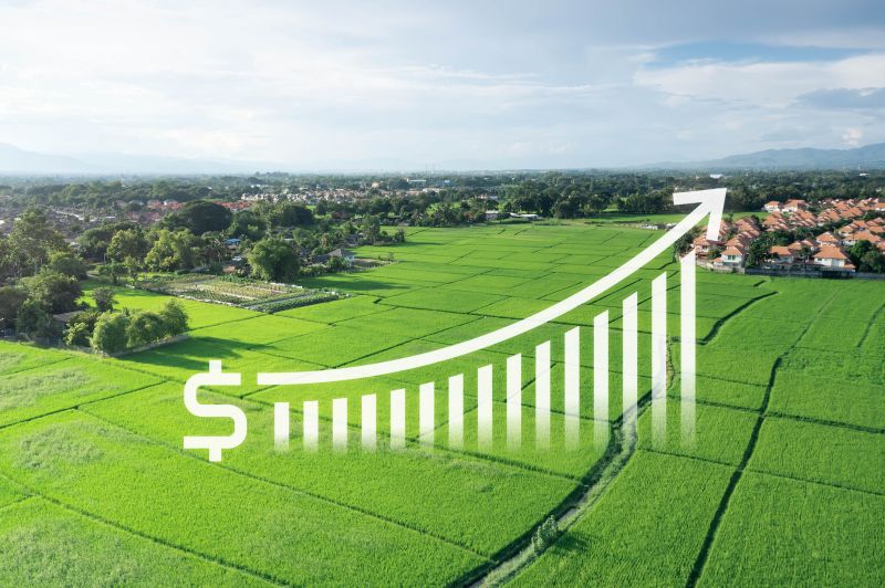 Assessing Growth Stages