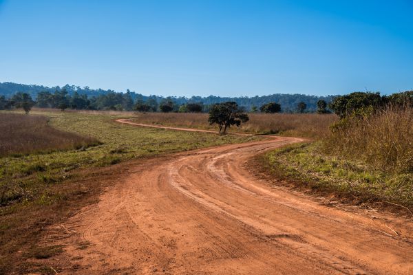 Cost of Dirt Driveway Repair in Greeley