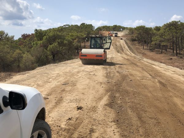 Cost of Driveway Grading in Greeley