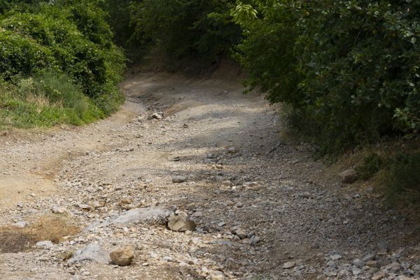 Cost of Gravel Road Pothole Repair in Greeley