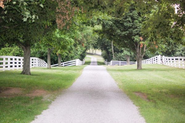 Cost of Gravel Driveway Construction in Greeley
