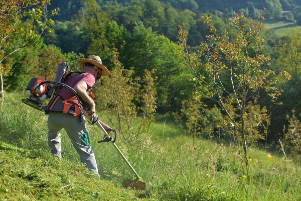 Cost of Slope Trimming in Greeley